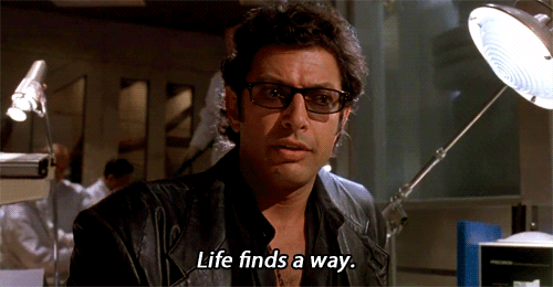 Jurassic Park GIF Jurassic Park GIF
